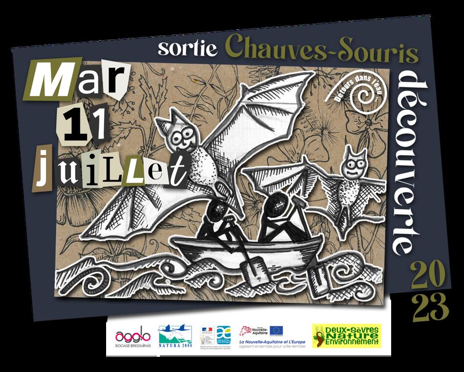 230711-sortie-chauve-souris-argentonnay