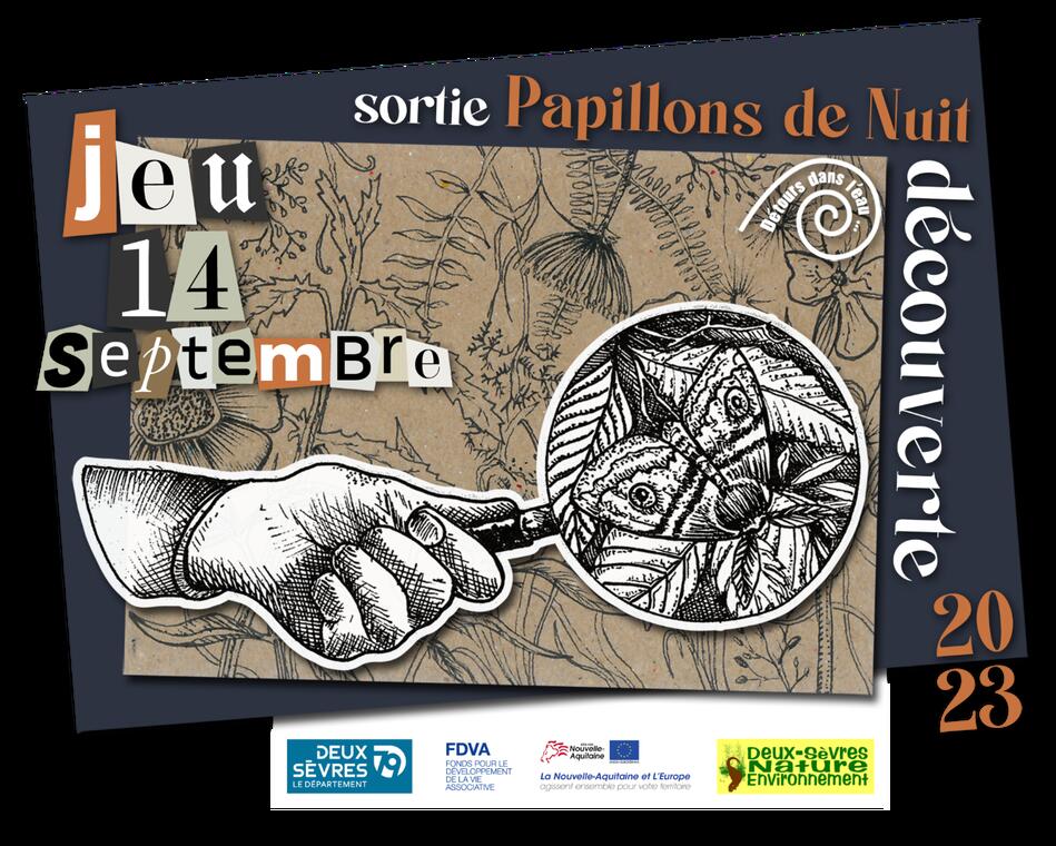 230914-papillons-dsne-argentonnay