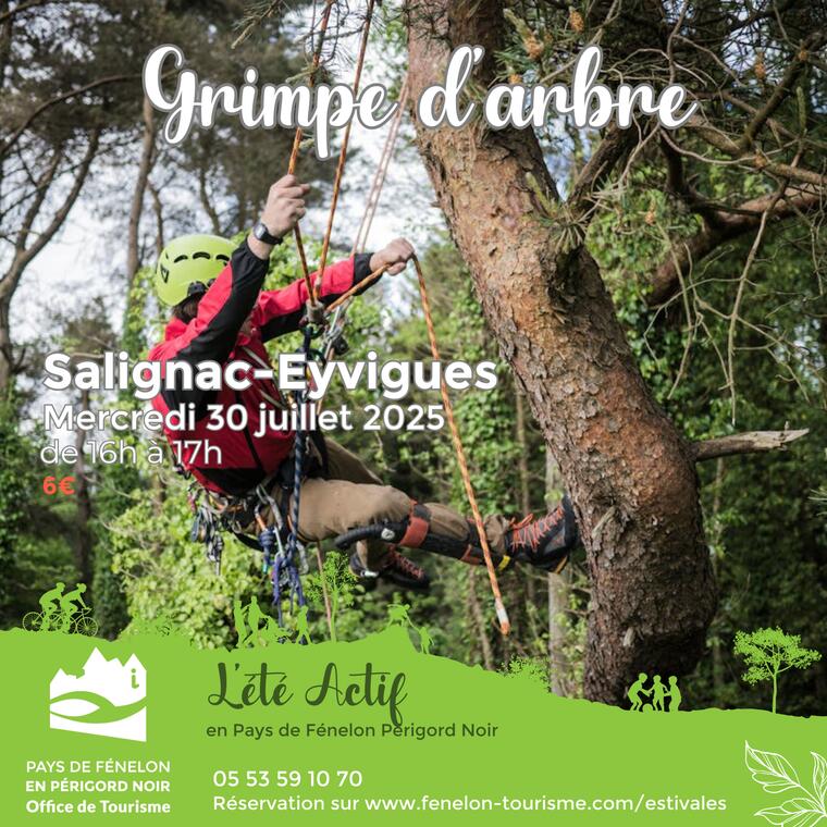 Visuels Estivales 2025 - 30/07 GRIMPE D'ARBRE