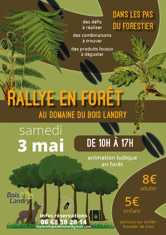 AFFICHE RALLYE 3 mai