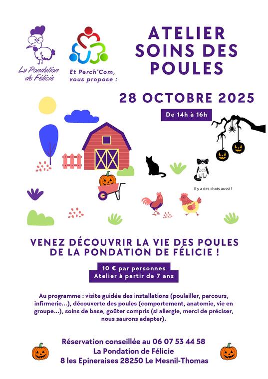 Affiche Pondation de Félicie & Perch Com 28 octobre-page-001