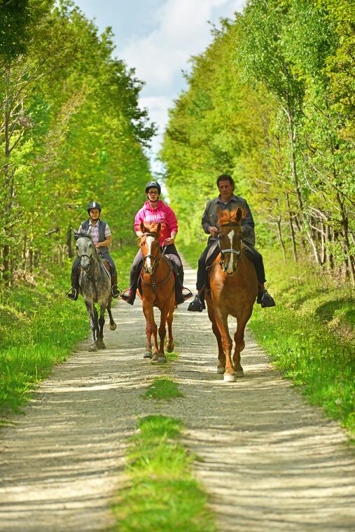 Equitation