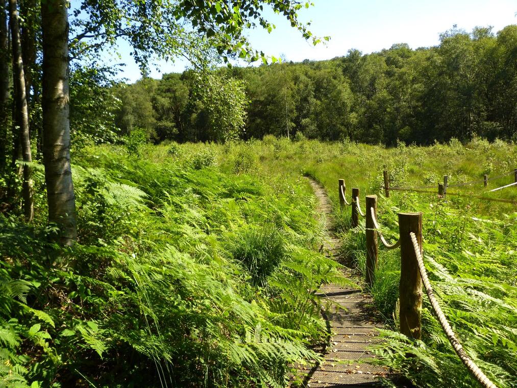 Forêt Domaniale Du Perche Et De La Trappe