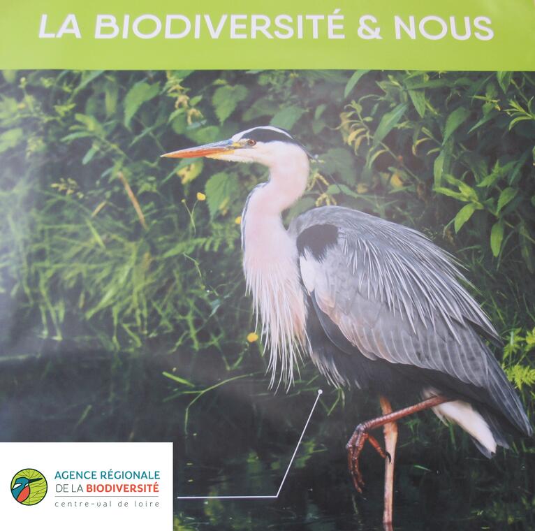 07 visite biodiversité