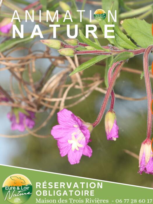 09-14 animation nature