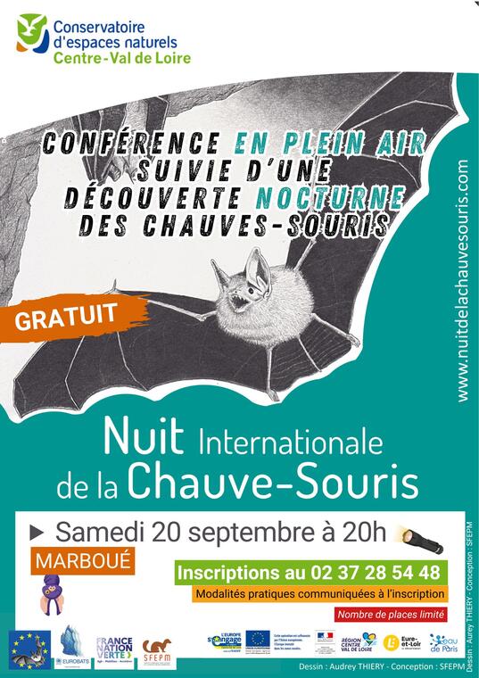09-20 chauve souris