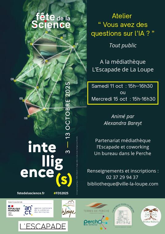 3.10.25 IA affiche