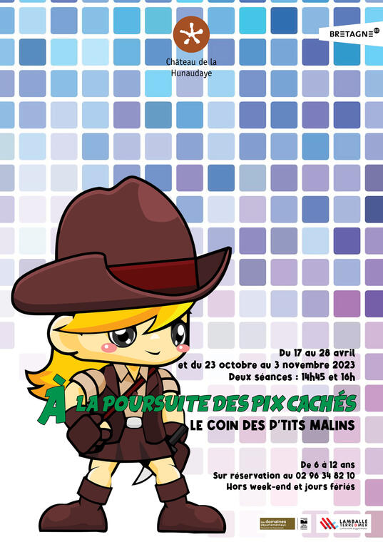Affiche à la poursuite du pix