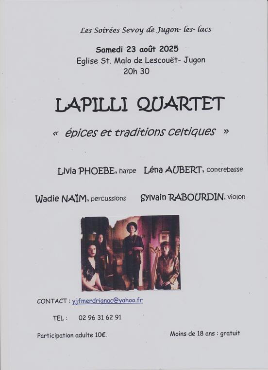 Affiche pour LAPILLI