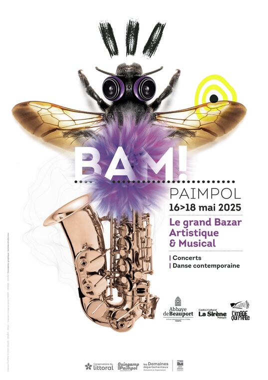 Festival BAM