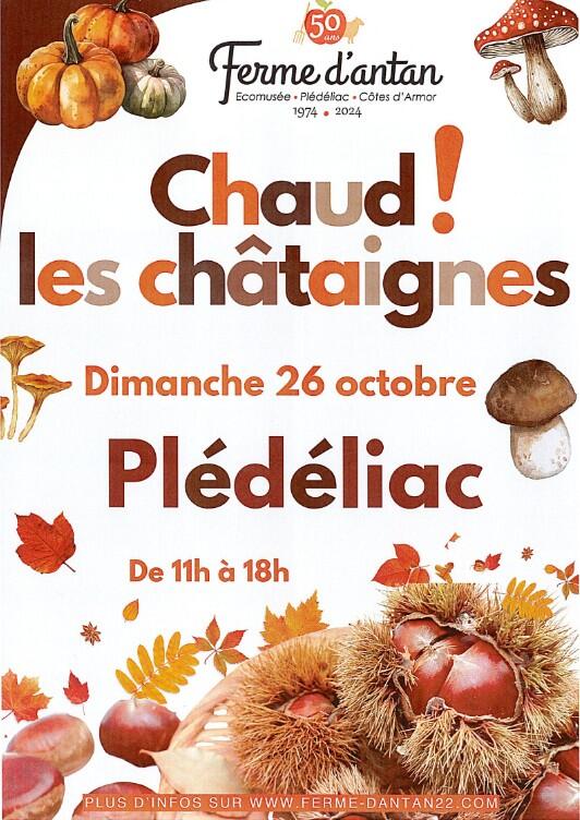 Châtaigne