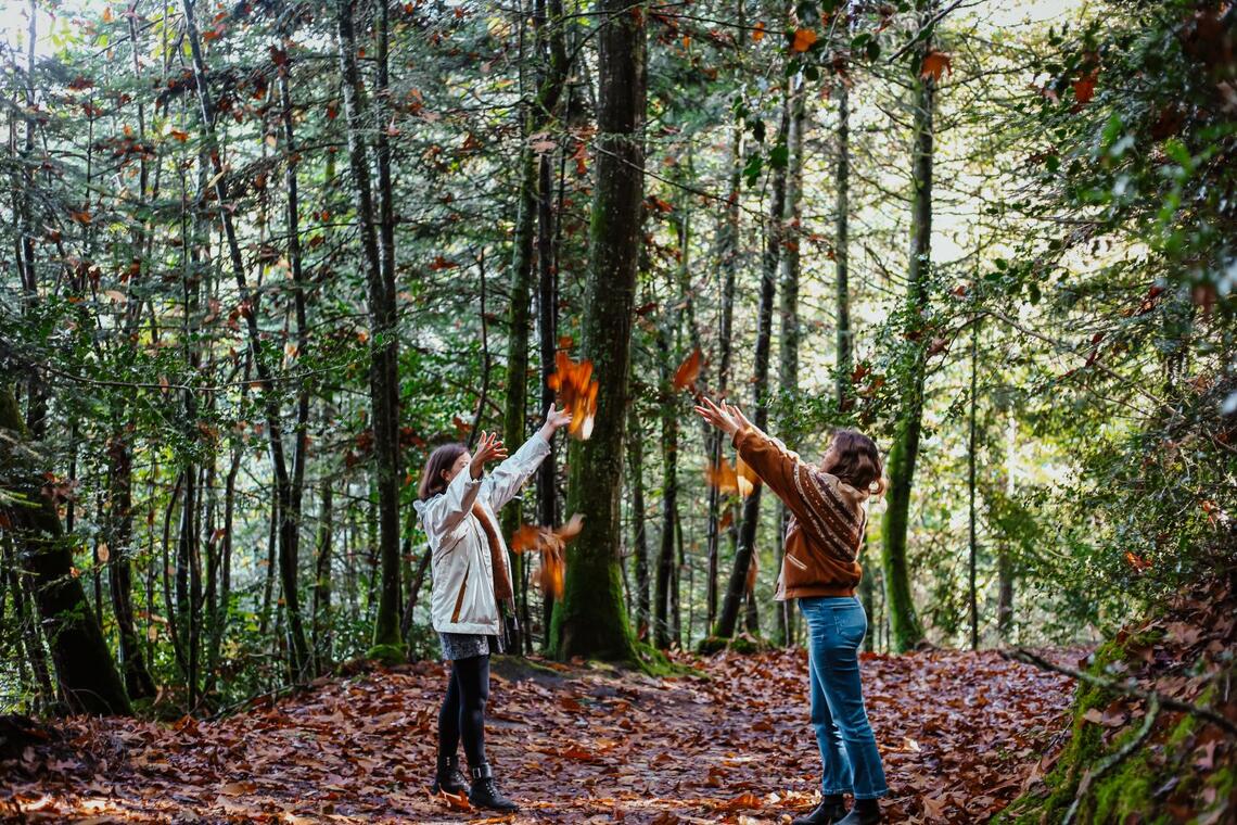 Balade chantée dans les bois - Combrit Ste Marine - Pays bigouden - Bigoudenjoy