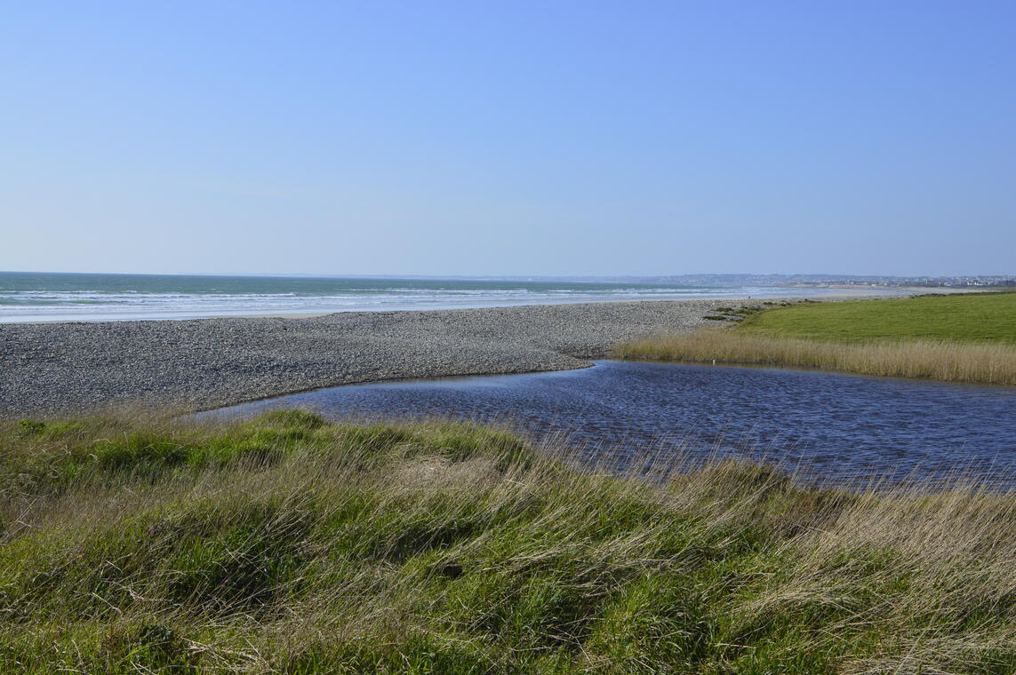 Sortie nature - Treogat - Pays bigouden - Bigoudenjoy