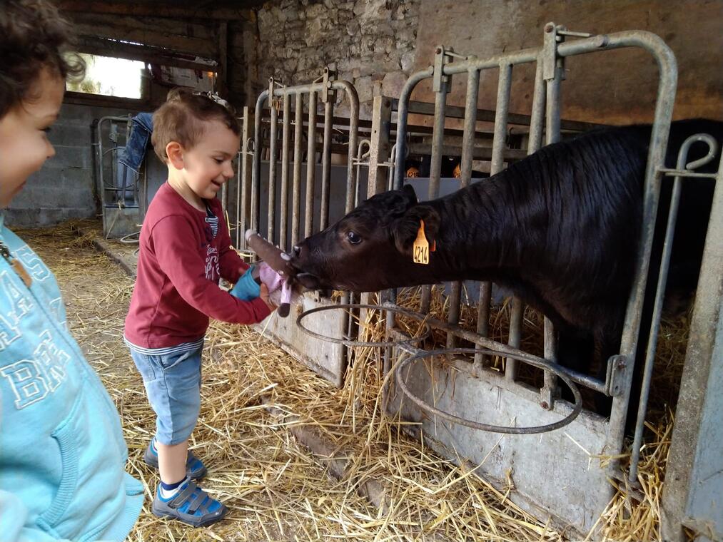 Gouter à la ferme