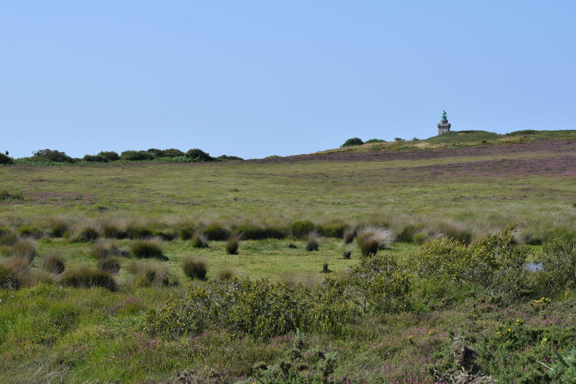 Le phare à travers les landes humides ....