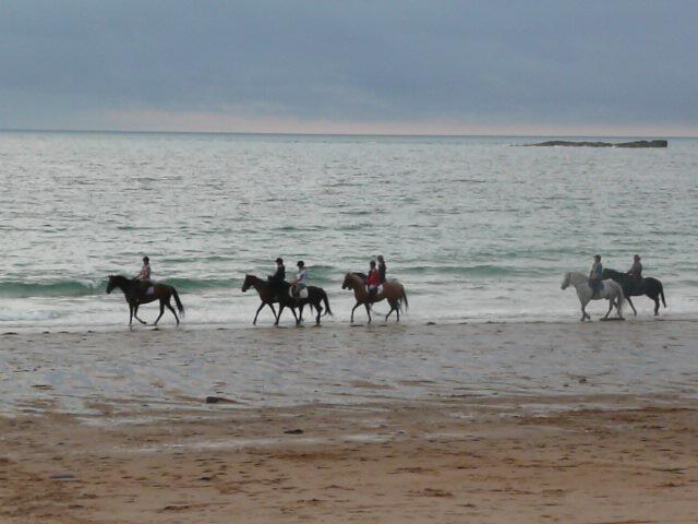 Balade en bord de mer