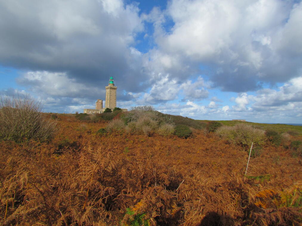 Le phare du Cap Fréhel