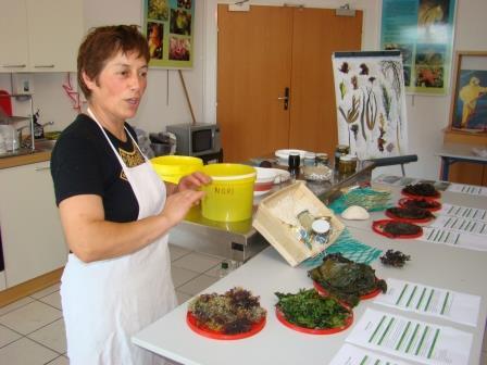 Atelier de cuisine aux algues par Scarlette Le Corre - Guilvinec - Pays Bigouden