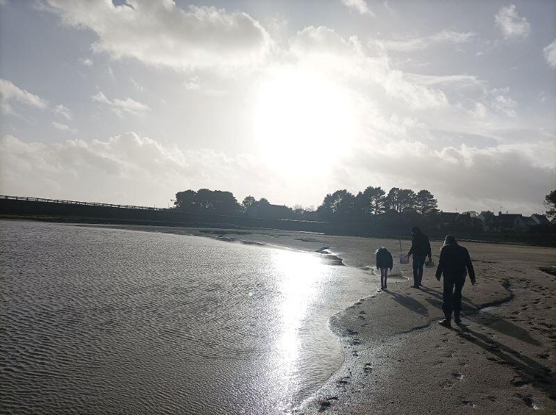 Découverte de l'estran - Pêche à pied - Pays bigouden - Bigoudenjoy