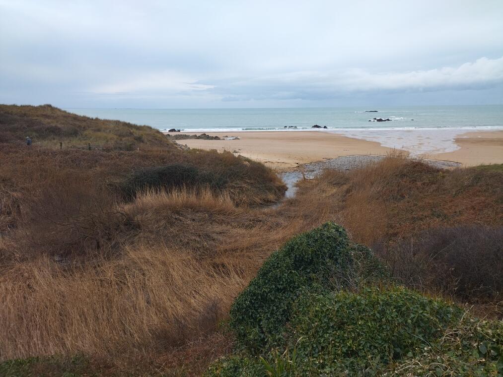 IMG_20250107_162019534