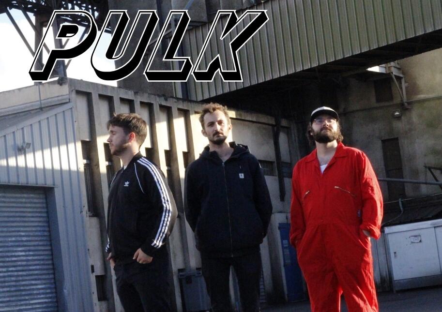 Pulk