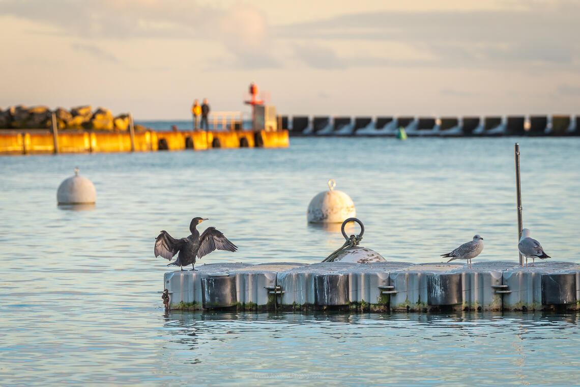 Visite photographique - Plobannalec-Lesconil - Pays Bigouden -Bigoudenjoy