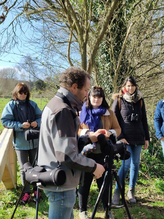 Observation des oiseaux - Treguennec - Pays bigouden - Bigoudenjoy