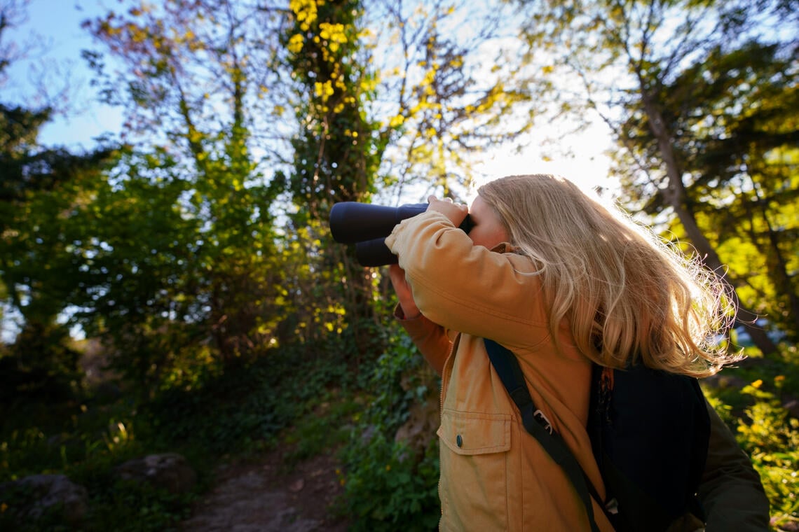 Balade nature - Ornithologie - Pont l'abbé - Pays Bigouden - Bigoudenjoy