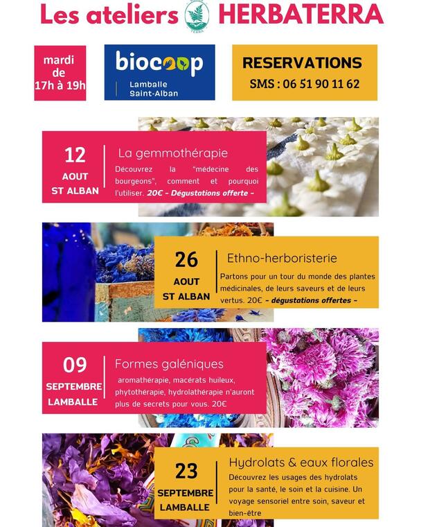 atelier_biocoop_st_alban_aout