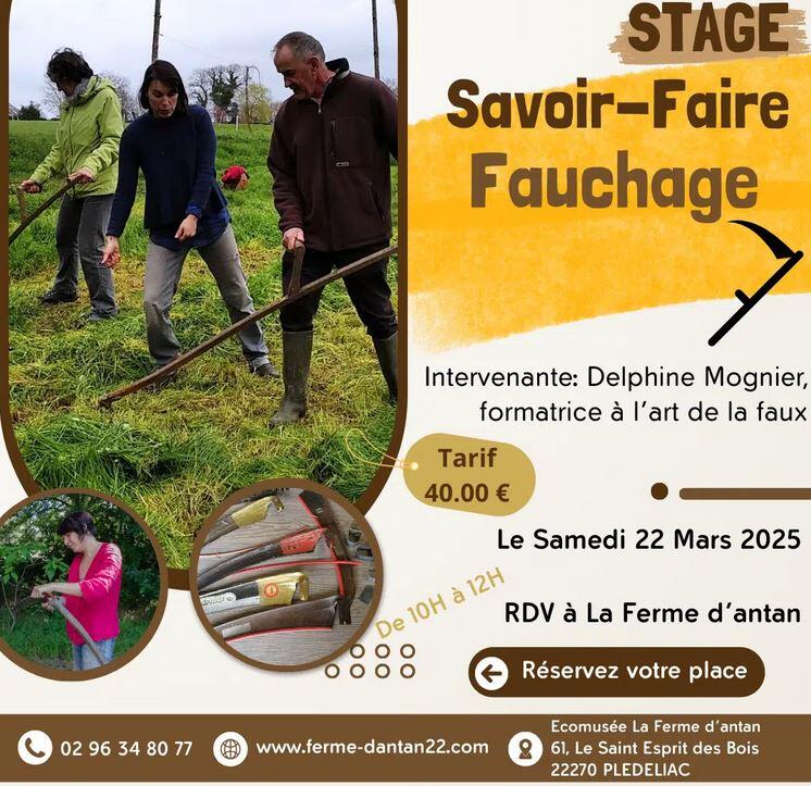 fauchage