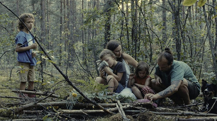 forest