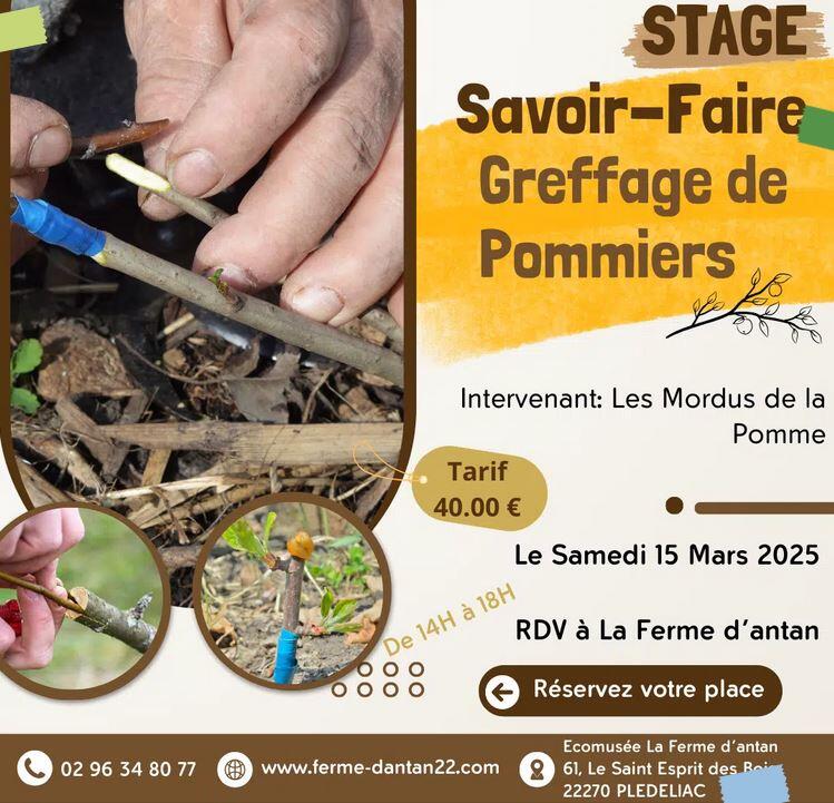 greffage de pommiers