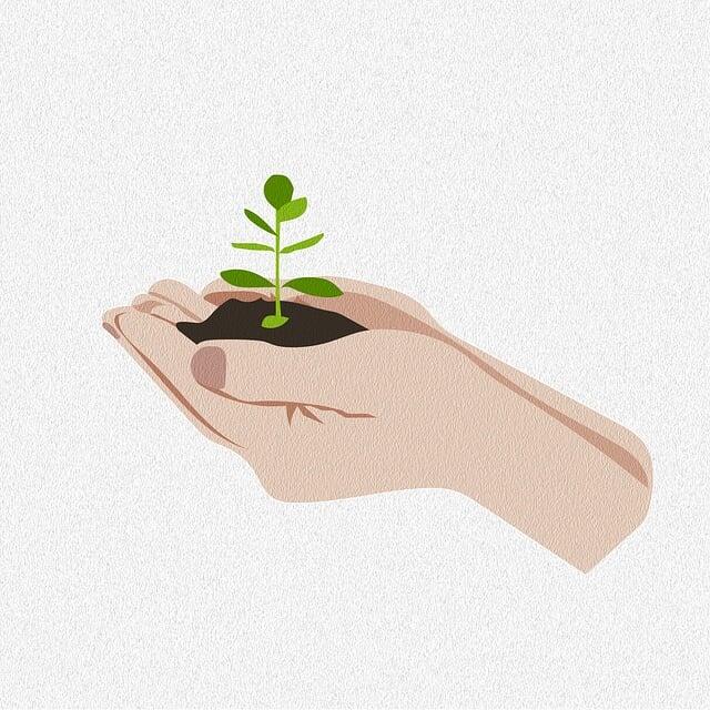 grow-9524787_640