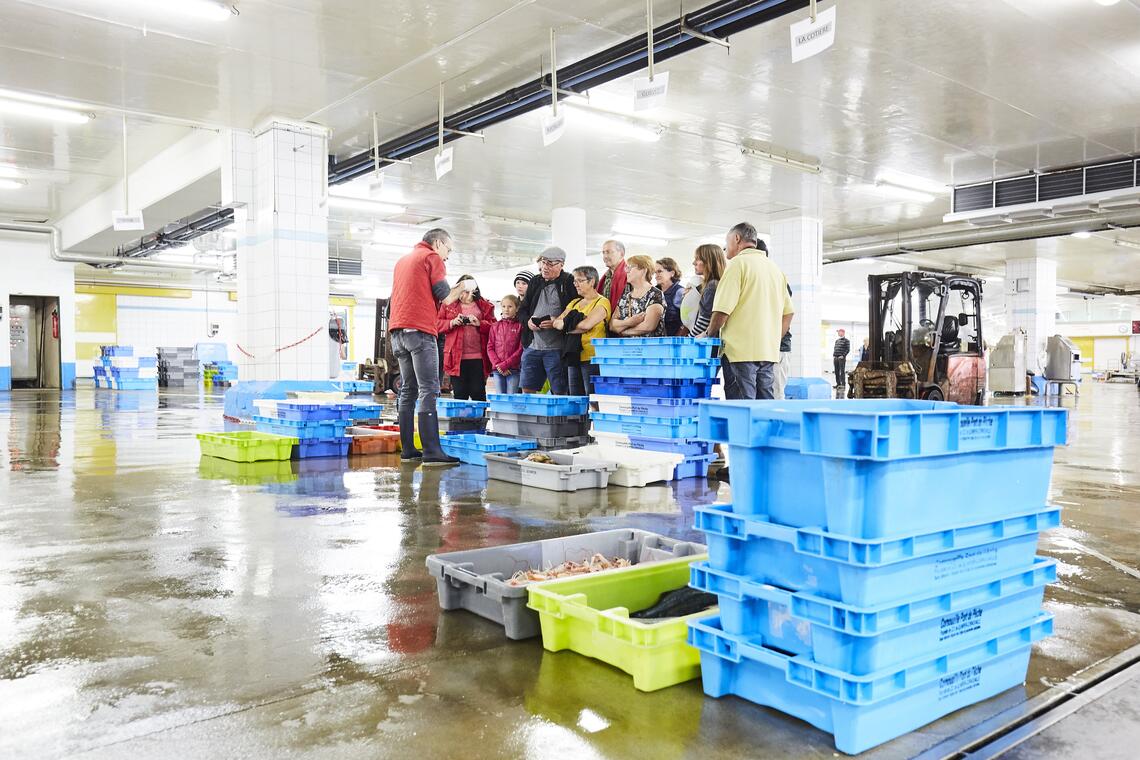 Visite guidée de la criée côtière - Haliotika - Guilvinec - Pays Bigouden