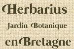 herbarius