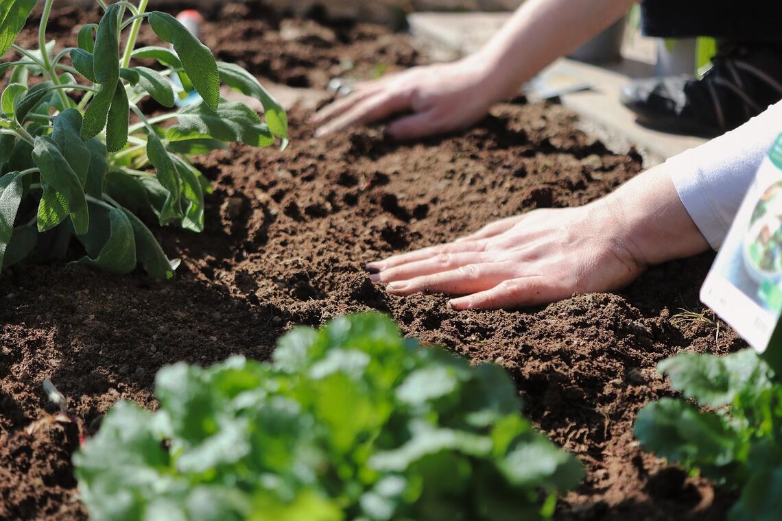 Atelier jardinage - Landudec - Pays bigouden