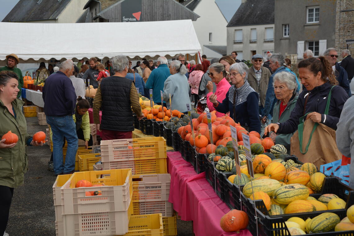 Marche de cucurbitacés - Pouldreuzic - Pays Bigouden