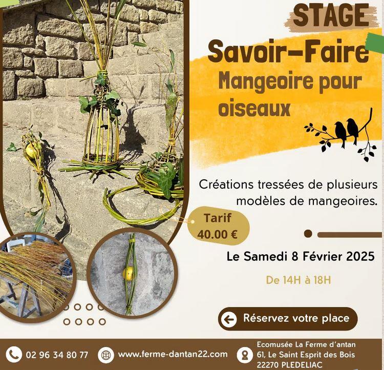 stage mangeoire pour oiseaux