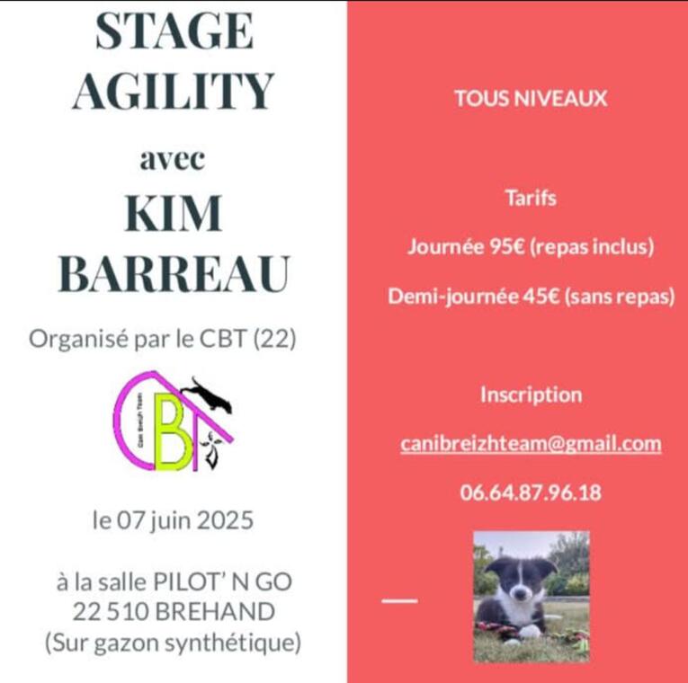stage chien