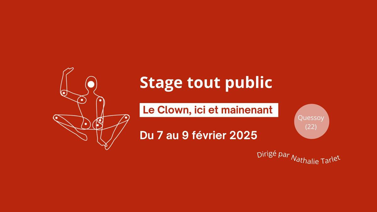 stage tout public