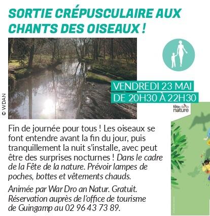 Sortie crépusculaire aux chants des oiseaux