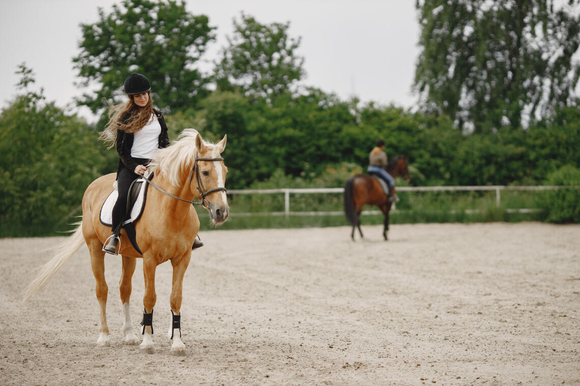 Concours équestre - Plobannalec-Lesconil - Pays Bigouden - Bigoudenjoy