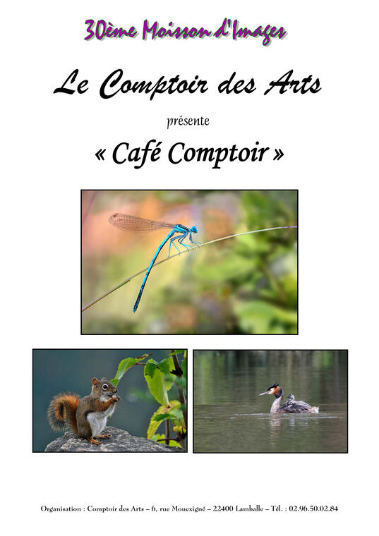 16-CaféComptoir