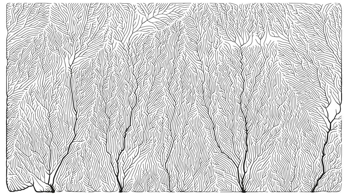 Linogravure - Combrit Ste-Marine - Pays bigouden - Bigoudenjoy
