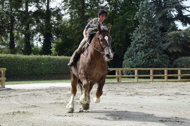 Haras National de Lamballe