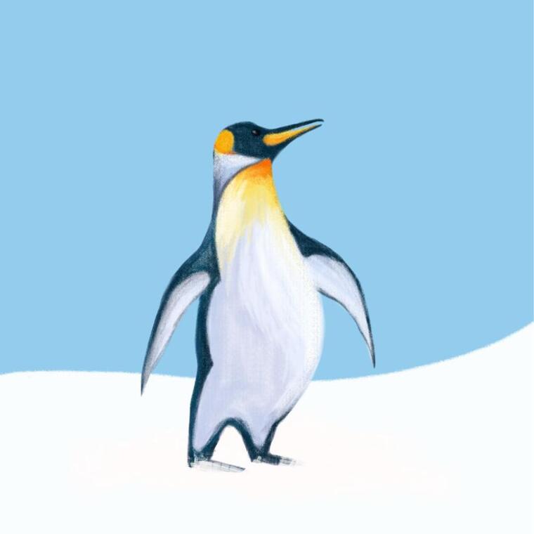 84-illustration_id-1749564564