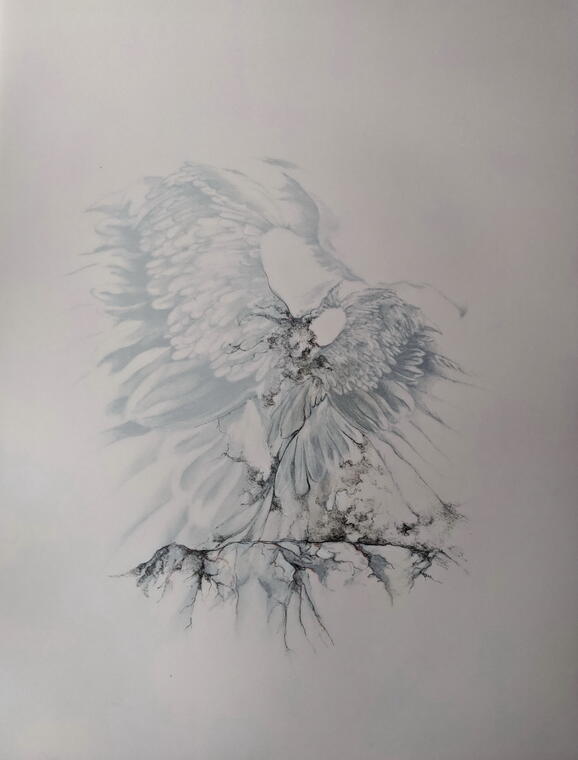 Mylène Fritchi-Roux « Cébenna » - 2023 - encre et crayon de couleur sur papier calque - 65 x 50 cm