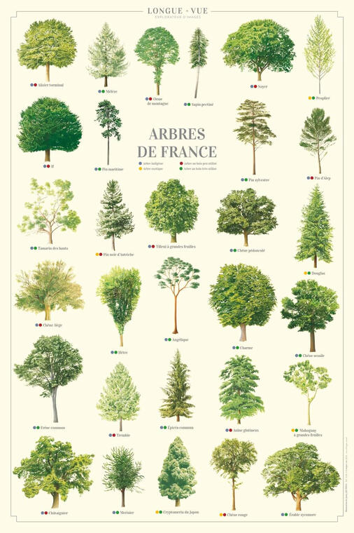 Arbres