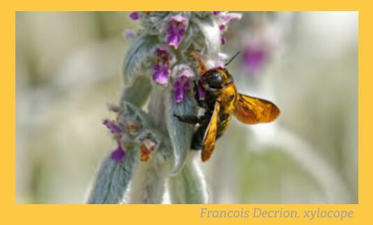 CONCOURS CASSAGNOLES