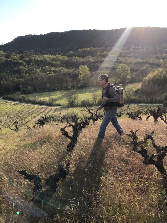 V. AUGE DANS SES VIGNES